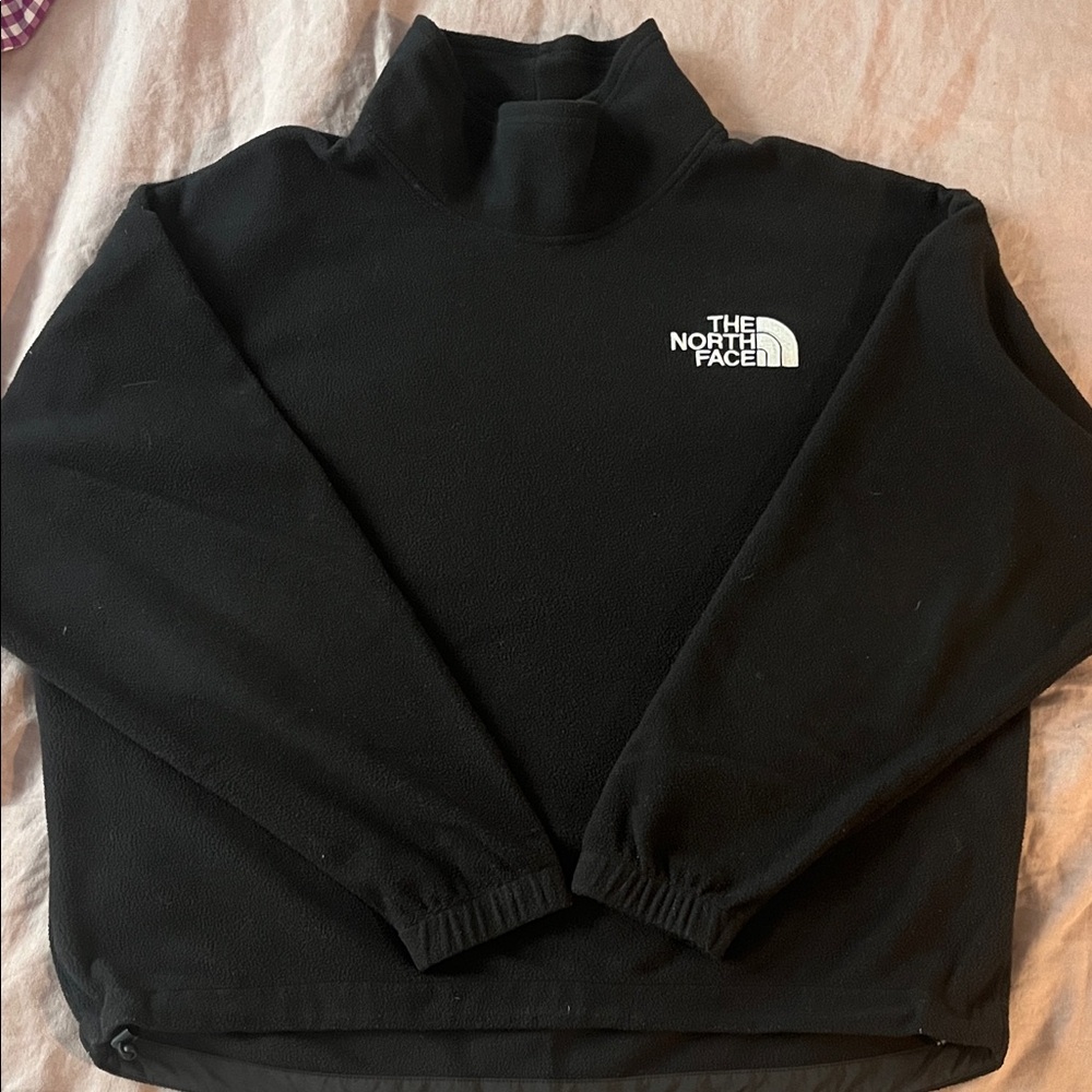 The North Face Black Fleece Pullover
